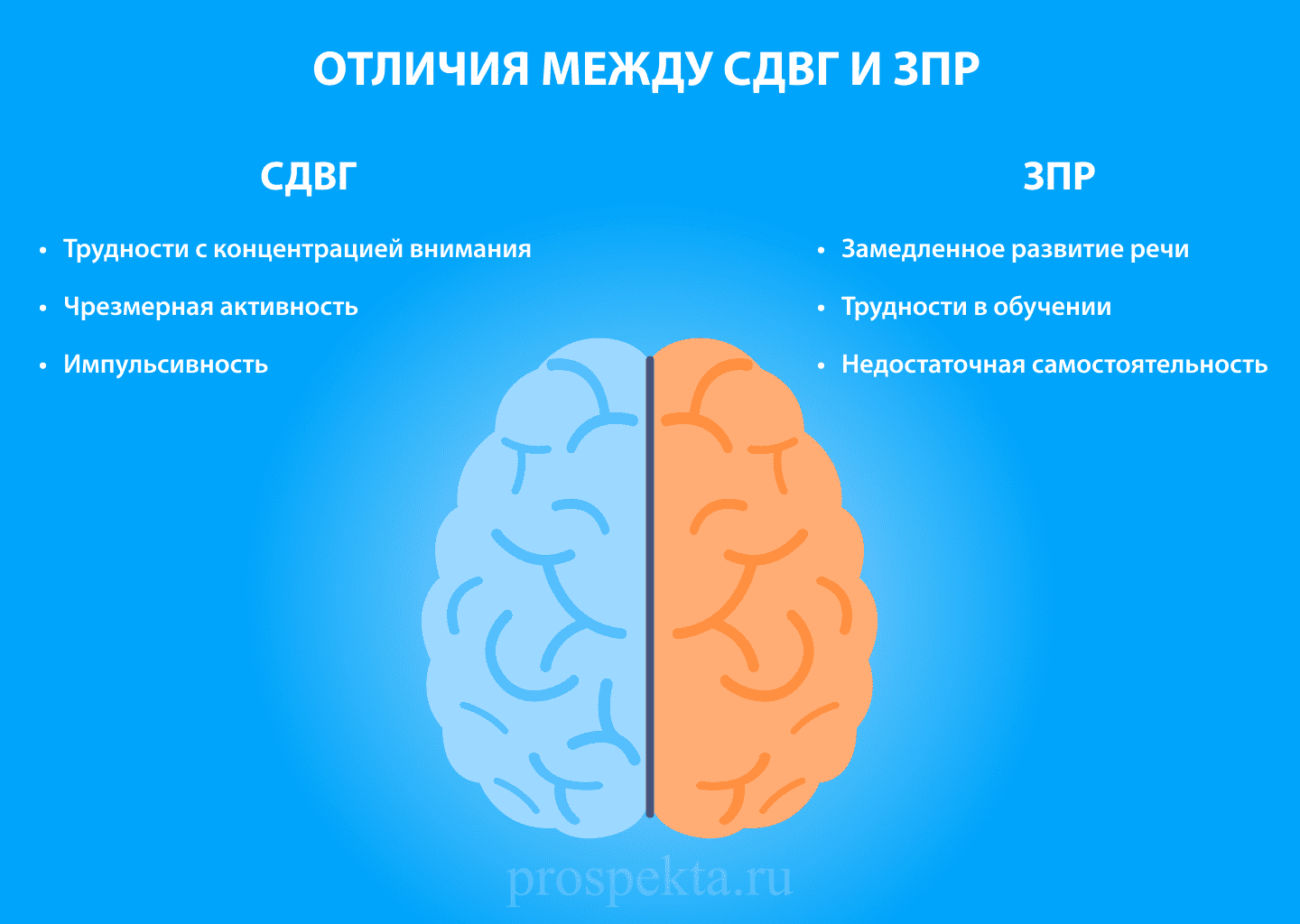 сдвг и зпр